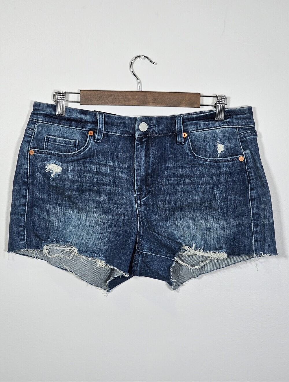 Blank NYC NWT The Astor Denim Distressed Mini Shorts Sz 30